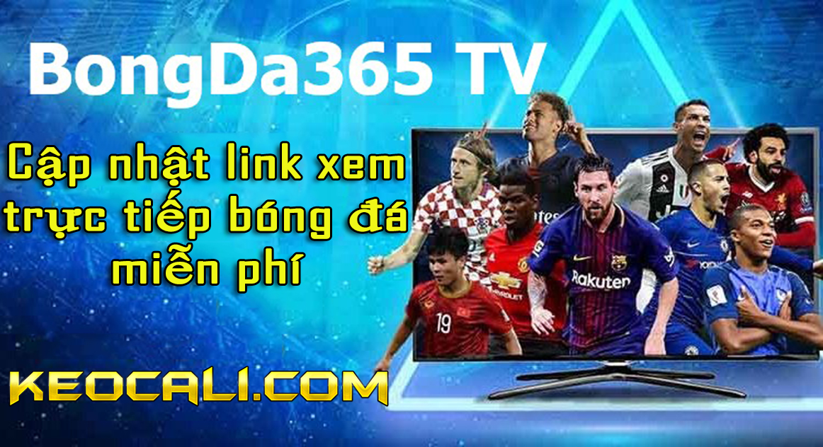 bongda365 TV