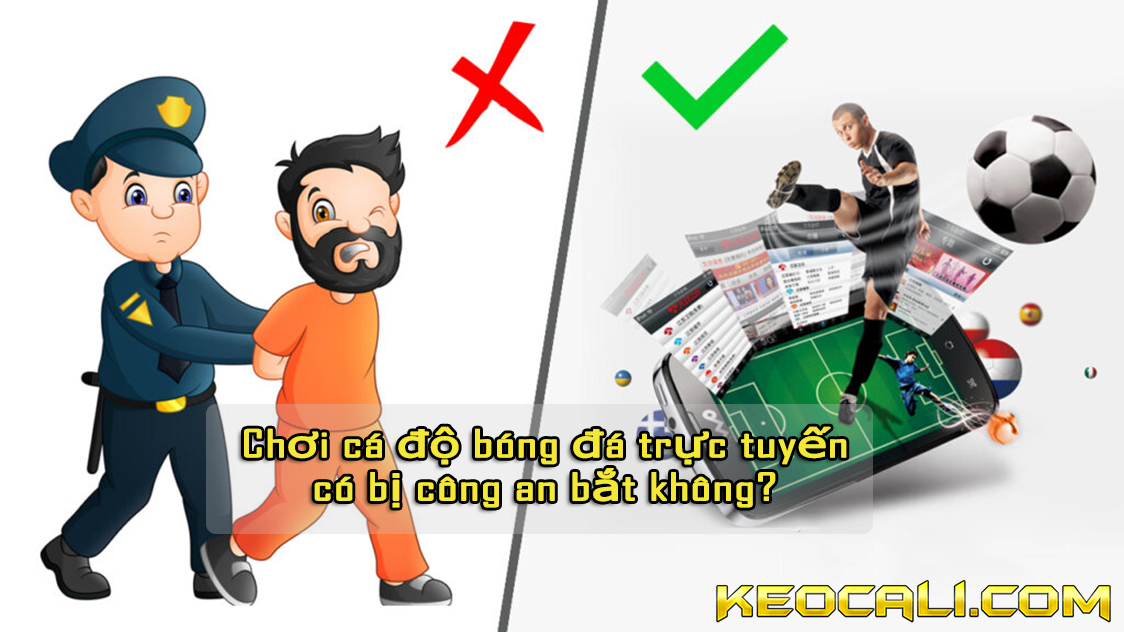 cá độ bóng đá trực tuyến