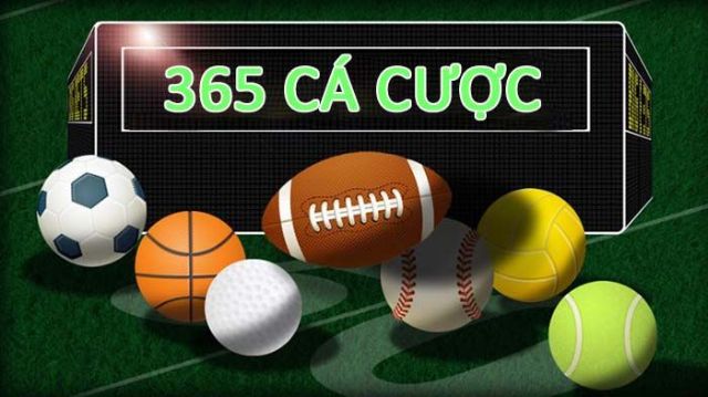 365cacuoc