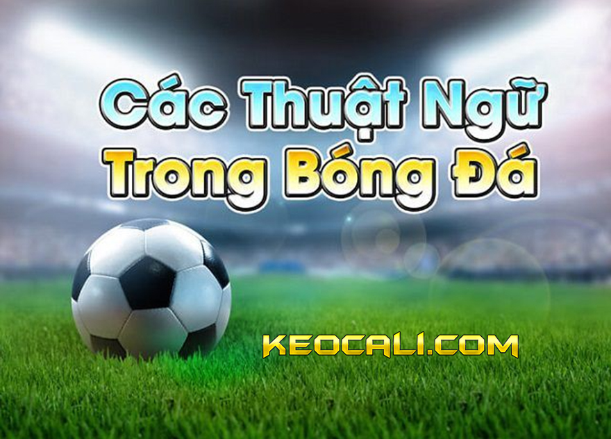 cá độ bóng đá