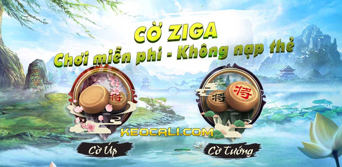 cờ úp ziga