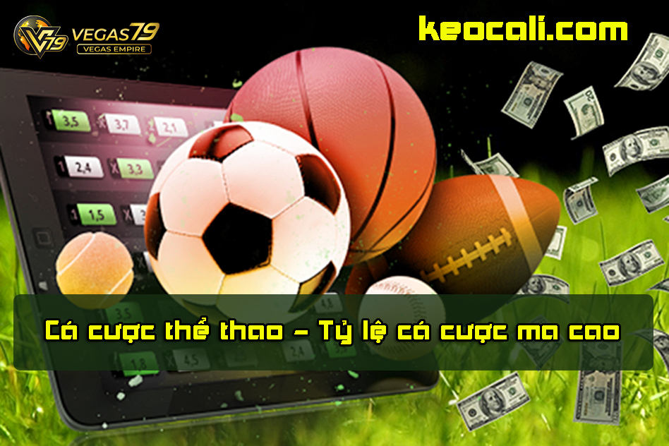 cá cược thể thao