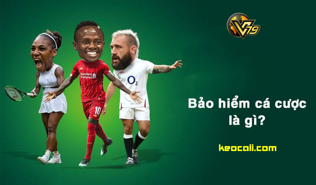 bảo hiểm cá cược