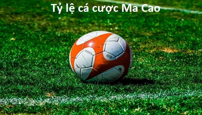 tylebongda