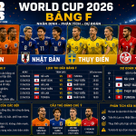 bảng F World Cup 2026